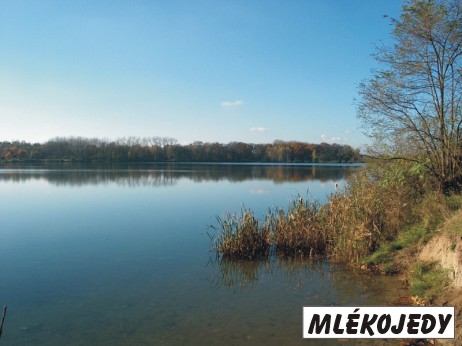 Mlékojed.