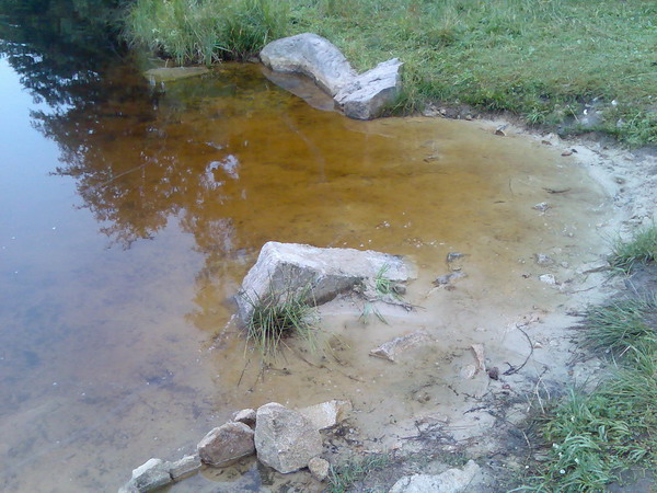 Pařezitý rybník