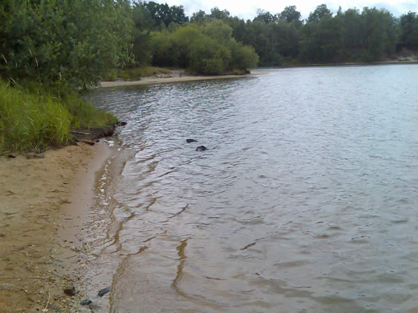 Vesel. pískov.