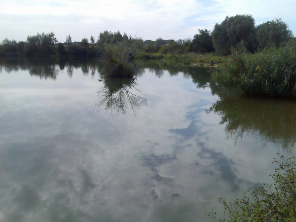 žehušice